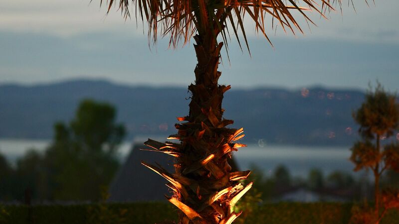 Sakarya Sapanca Uzunkum Mevkii 4 Kişilik Isıtmalı Havuzlu SFRS1000-59