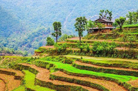Nepal - Hindistan Turu 8 Gece 9 Gün