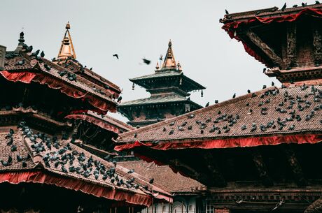 Nepal - Hindistan Turu 8 Gece 9 Gün