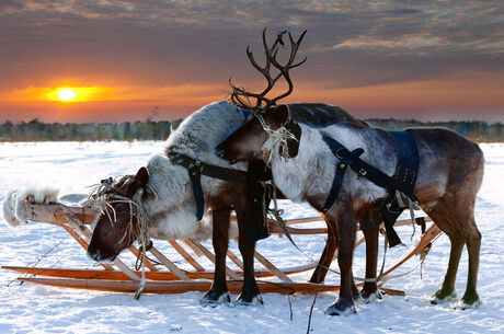 RUSYA KUZEY IŞIKLARI TURU 6 Gece 7 Gün