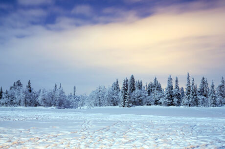 RUSYA KUZEY IŞIKLARI TURU 6 Gece 7 Gün