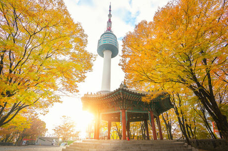 G.Kore & Japonya Turu ( Sakura Mevsimi ) 8 Gece 9 Gün